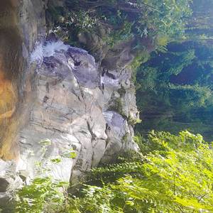 จากไปใจยังรัก