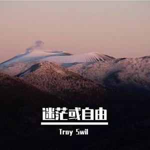 万能青年旅店-大石碎胸口伴奏（Troy Swil remix）