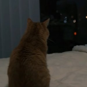 2023-03-25 01.47.52.wav