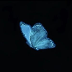 这次花开(prod. aura+pvki+neeko)