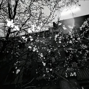 路过彼此世界的倒影