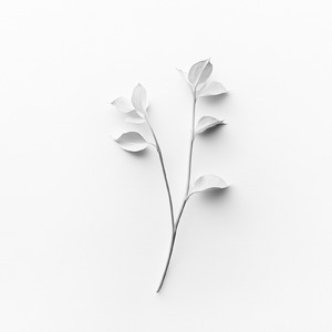 キミとツナグ未来 (2025 Remastered)