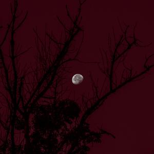 La Luna También Sale de Día