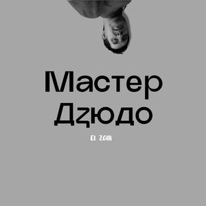 Мастер Дзюдо