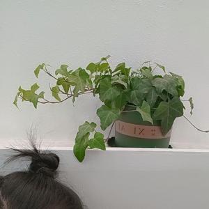 Price Tag(说唱部分中文填词)