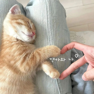 想你