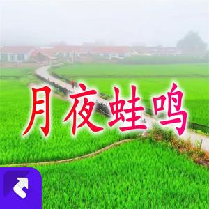 月夜蛙鸣