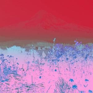 Pattern Of The Ocean