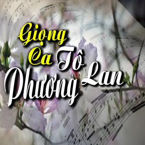 Trị An Âm Vang Mùa Xuân