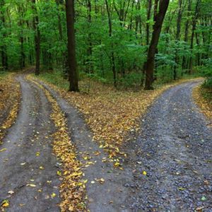 选择权（prod by FRESH _ye）