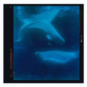 三人行（Cover.单依纯）