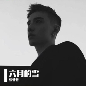张梦哲-六月的雪-整曲