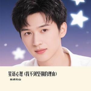 星语心愿 (找不到坚强的理由)(Cover 大头针)