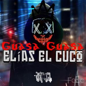Guasa Guasa