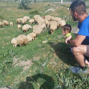 Let’s Play Hide and Seek -躲猫猫