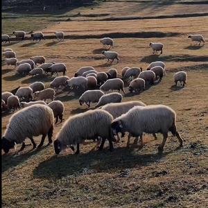 Gençluğume Doymadum