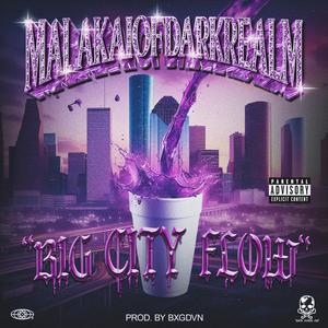 BIG CITY FLOW (feat. BXGDVN)