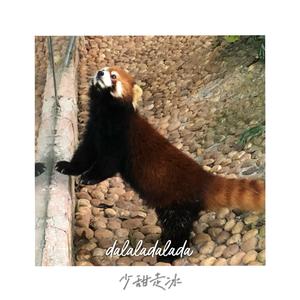 糖果滤镜（dalaladalada）