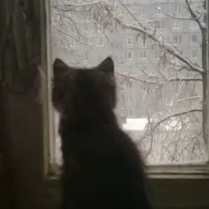 戒掉你学会呼吸