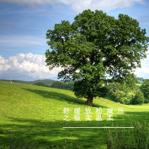 聆听深山绿野 (纯音乐)