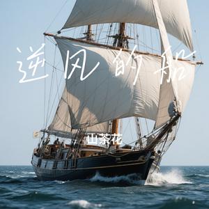 逆风的船