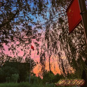 愿为盛世添锦桂（prod.by Morrow x electrojax）