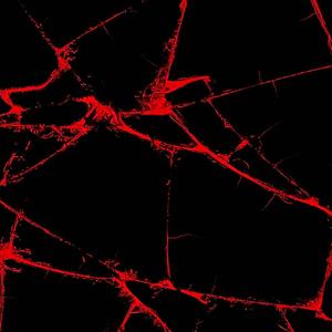 Mr.Bentley (SHIYE FLIP)