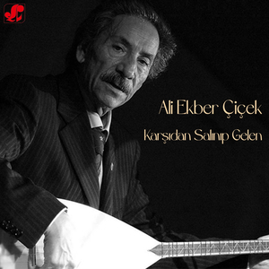 Karşıdan Salınıp Gelen