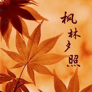 蝶舞花间 (治愈)