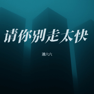 请你别走太快 (烟嗓版)