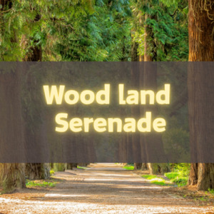 森のセレナーデ