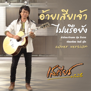 อ้ายเสียเจ้าไปหรือยัง (Cover)