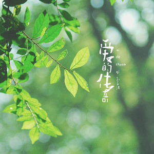 爱的传奇 (广场舞版)