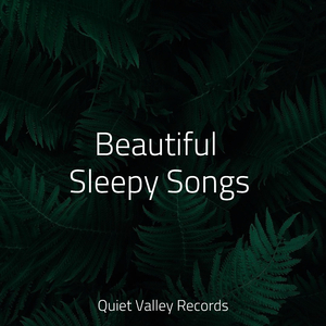 Ambient Soundscape for Sleep