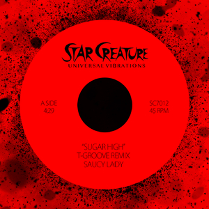 I'm Ready (T-Groove Remix)