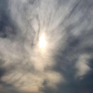 Nothing I Need to Prove