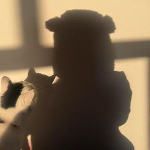 For 琳（It's not too late）