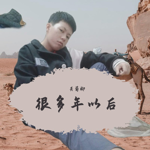 很多年以后 伴奏