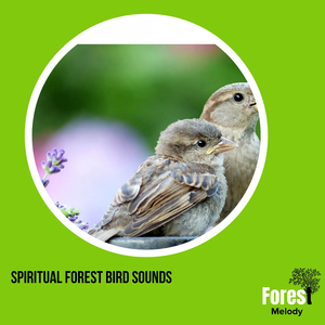 Grandeur of Rattle Snake