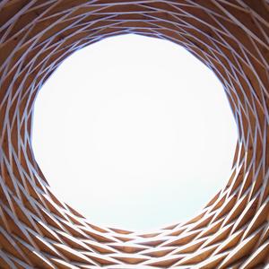 Chernobyl's Vocal Cords