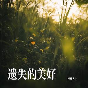 遗失的美好
