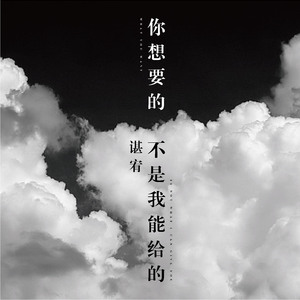 你想要的不是我能给的