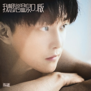 我想泡温泉-DJ沈念 (DJ版)