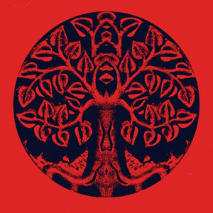 Winterreise (Gefror'ne Tranen)