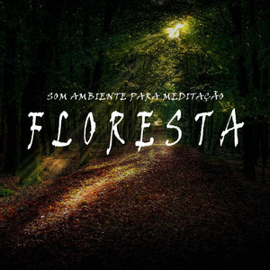 Som Ambiente para Meditação: Floresta, Pt. 45