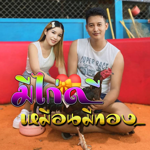 มีไก่ดีเหมือนมีทอง