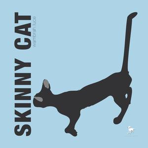 Skinny Cat