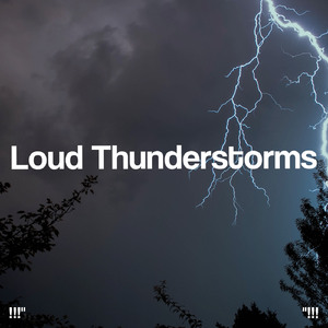 호우 잠