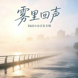 雾里回声