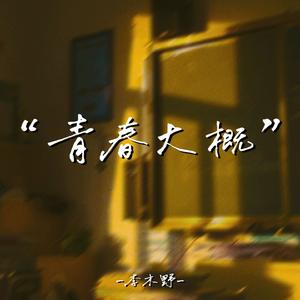 青春大概